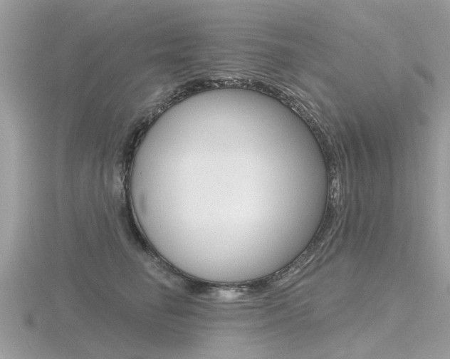 X0000116550662200912101004