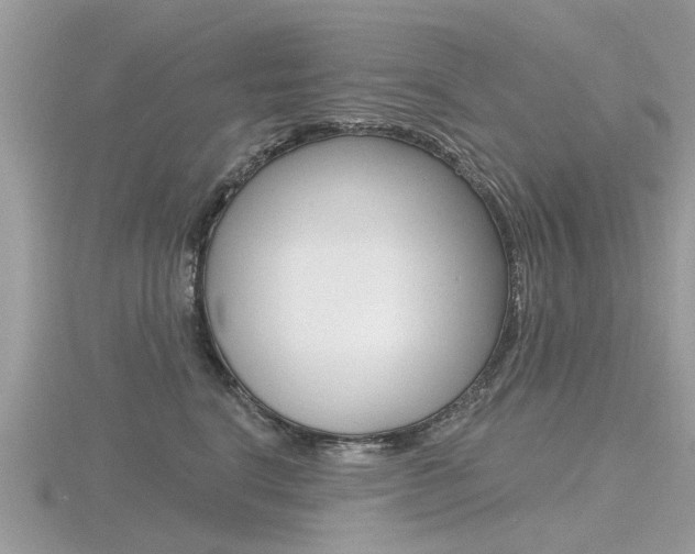 X0000116550664200912101004