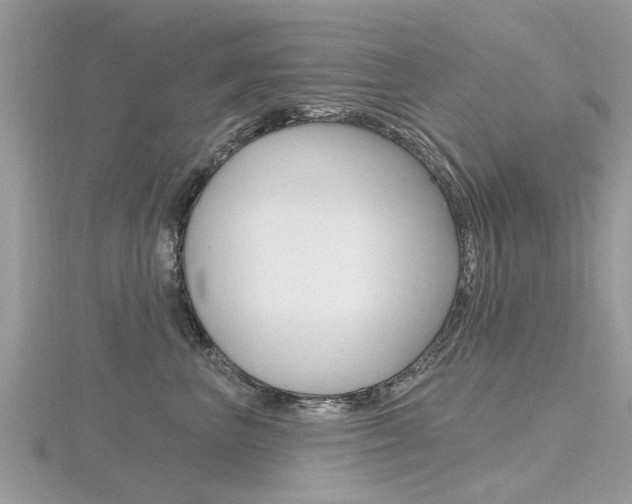 X0000116550667200912101004