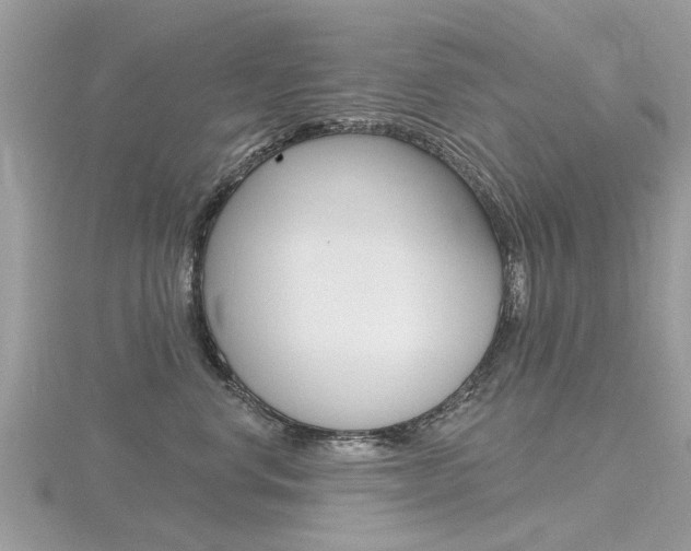 X0000116550668200912101004