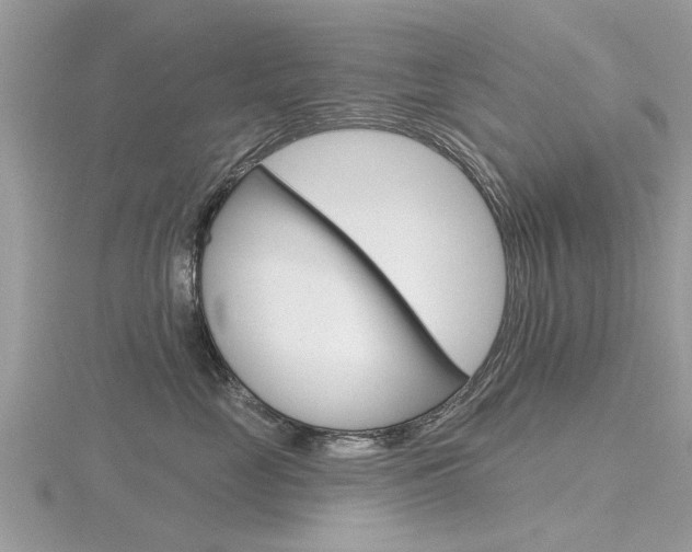 X0000116550669200912101004