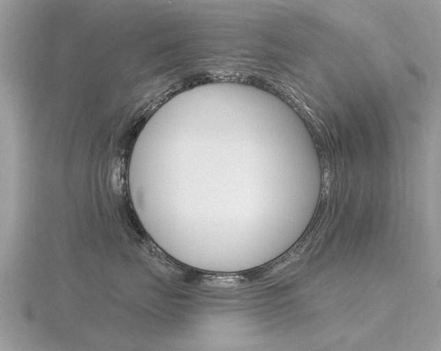 X0000116550671200912101004