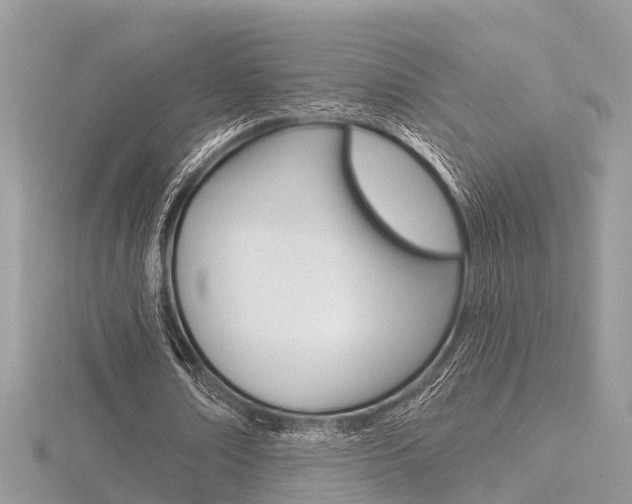 X0000116550674200912101003