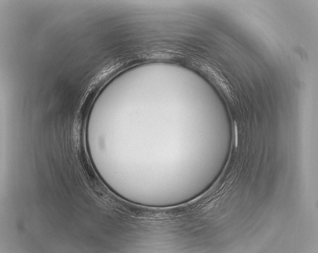 X0000116550675200912101003