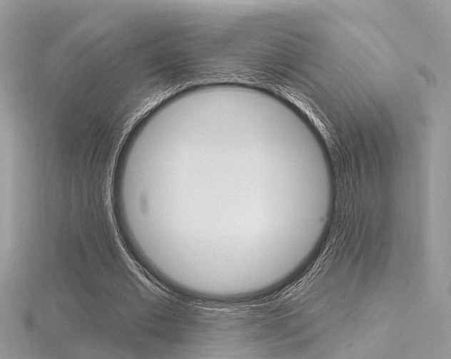 X0000116550677200912101003