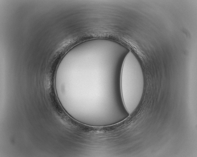 X0000116550687200912101003