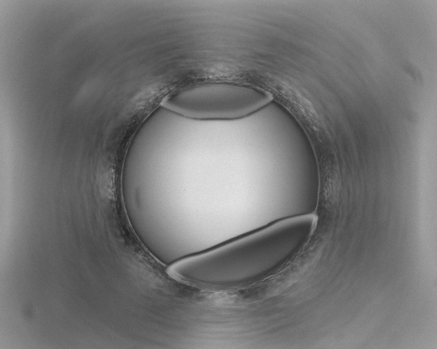 X0000116550689200912101003