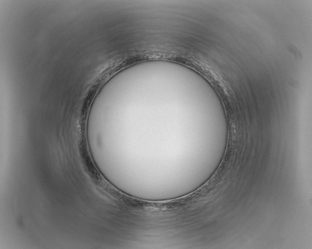 X0000116550690200912101003
