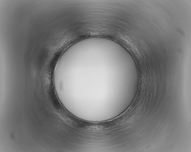 X0000116550691200912101003