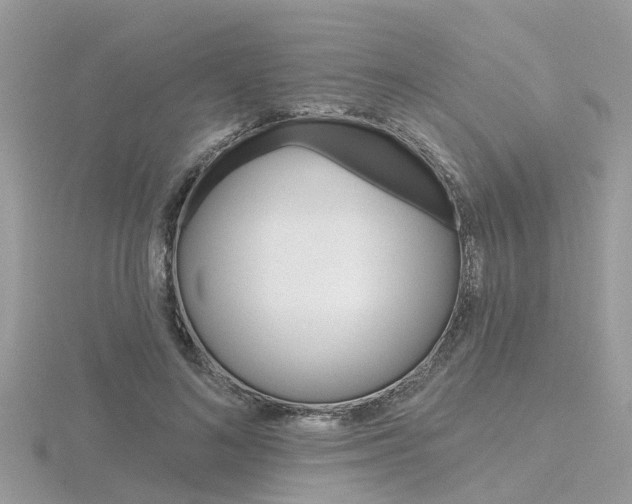 X0000116550692200912101003