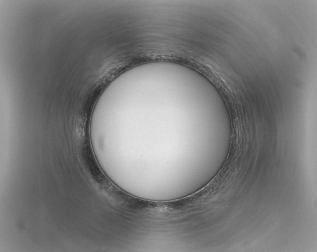 X0000116550695200912101003