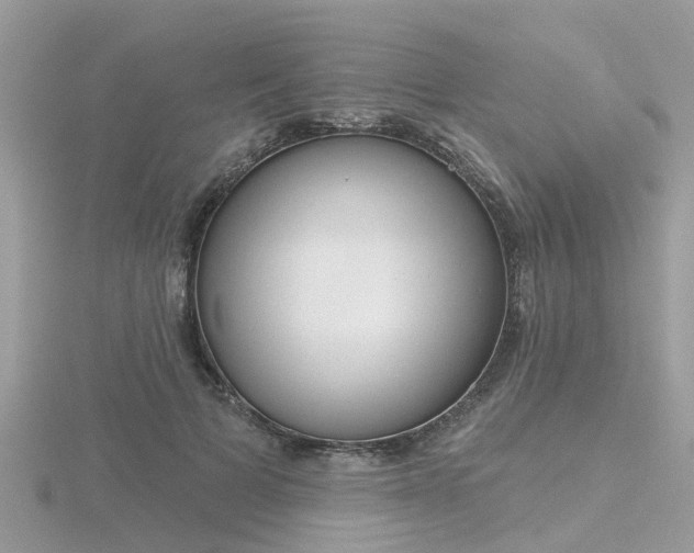 X0000116550697200912101003