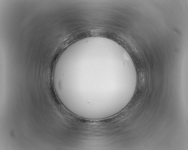 X0000116550698200912101003