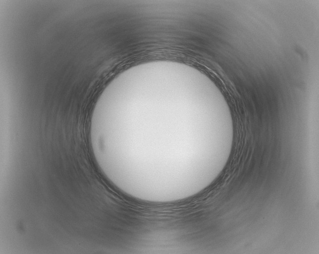 X0000116550701200912101003