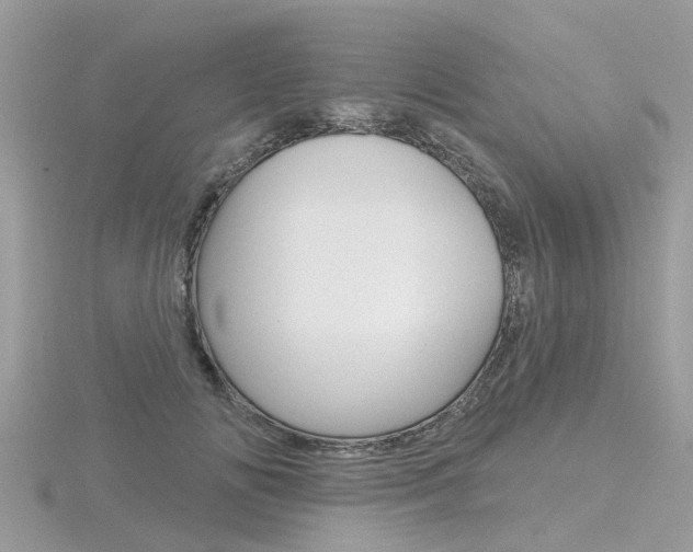 X0000116550702200912101003