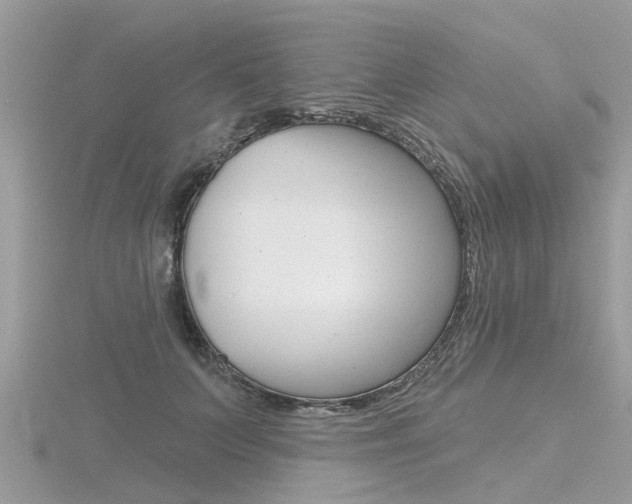 X0000116550703200912101003