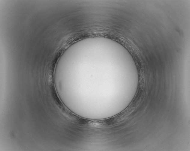 X0000116550706200912101003