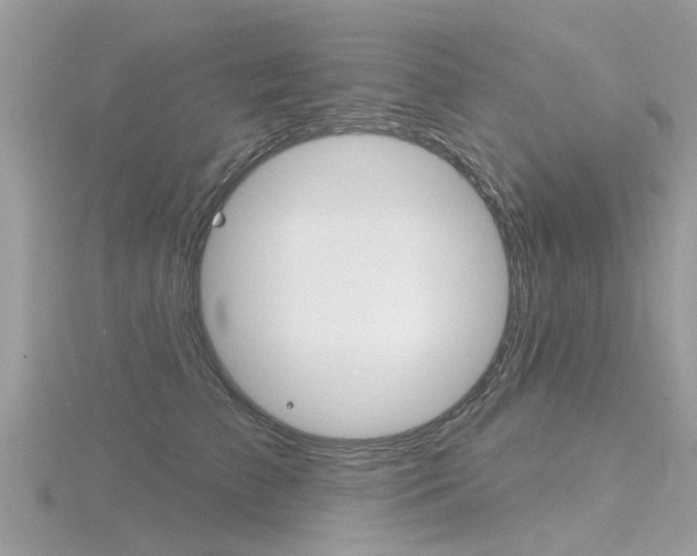 X0000116550709200912101003