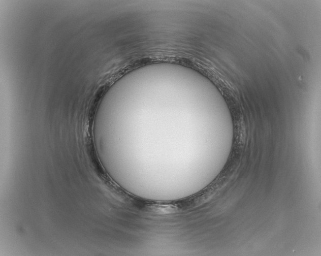 X0000116550711200912101003