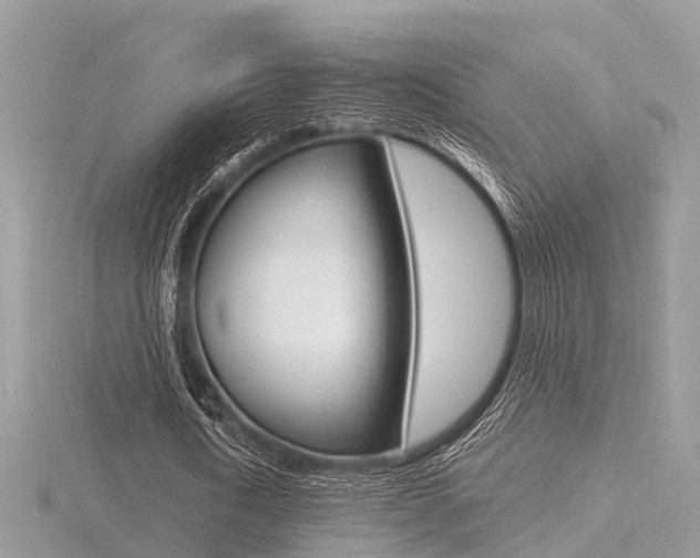 X0000116550722200912101002