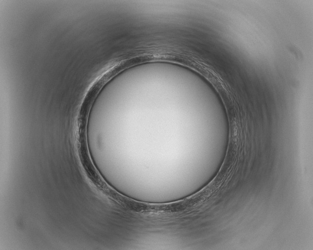 X0000116550730200912101002