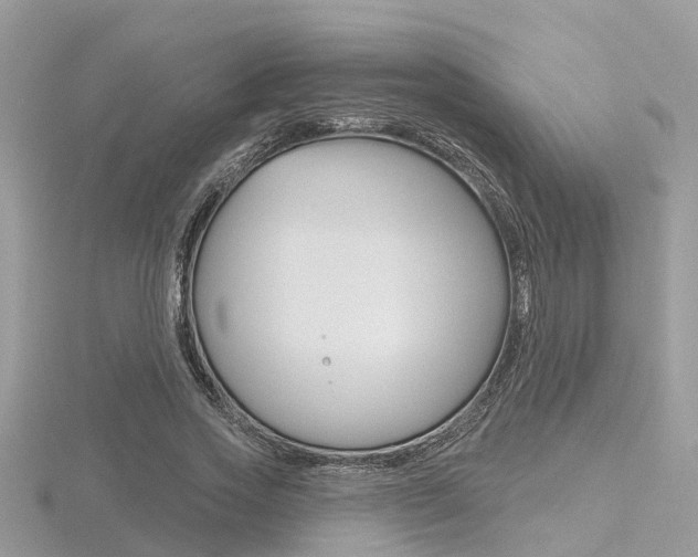 X0000116550733200912101002