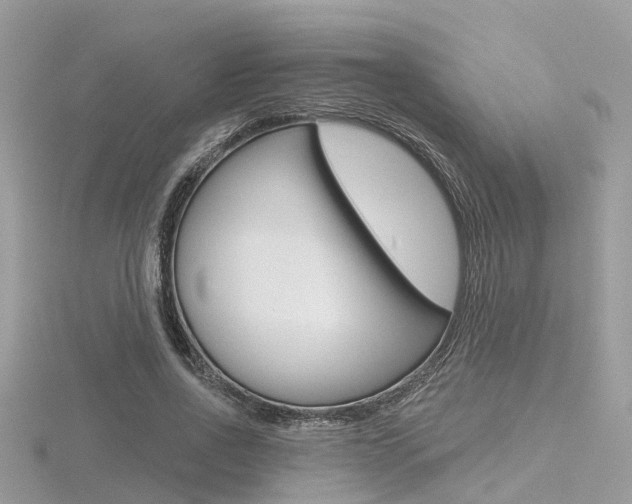 X0000116550734200912101002
