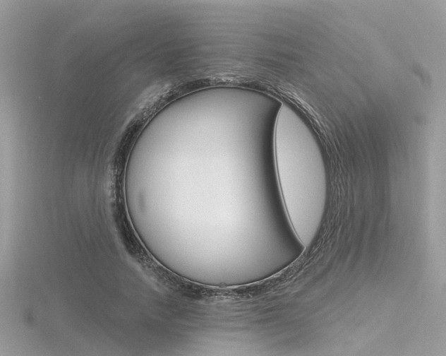 X0000116550738200912101002