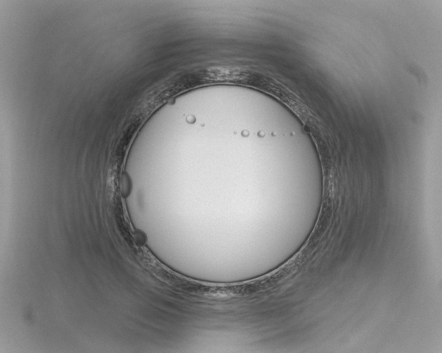 X0000116550741200912101002