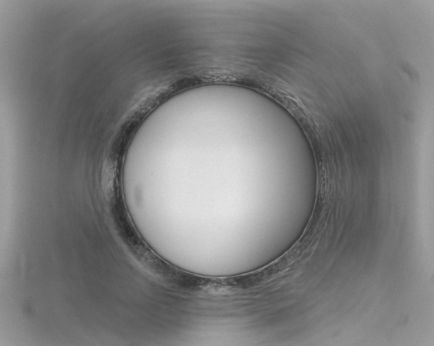 X0000116550742200912101002