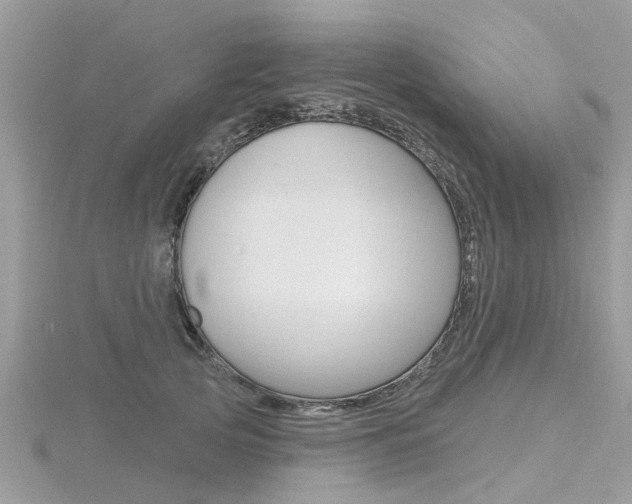 X0000116550753200912101003