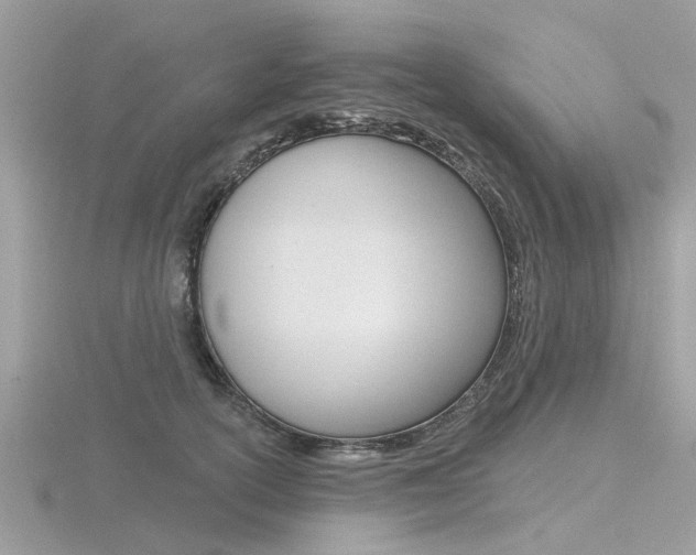 X0000116550754200912101003