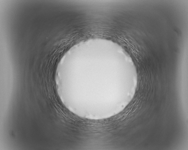 X0000116550769200912101002