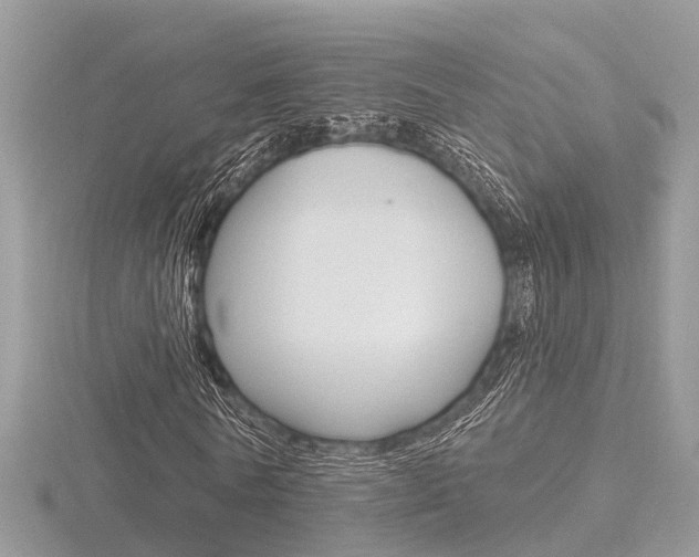 X0000116550770200912101002