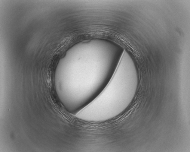 X0000116550771200912101002