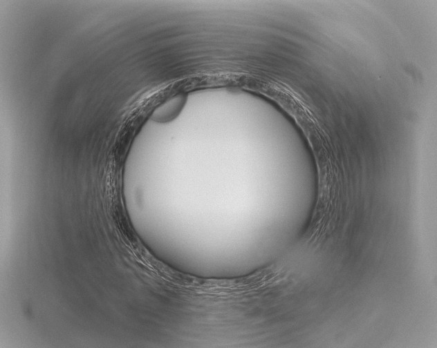 X0000116550773200912101002