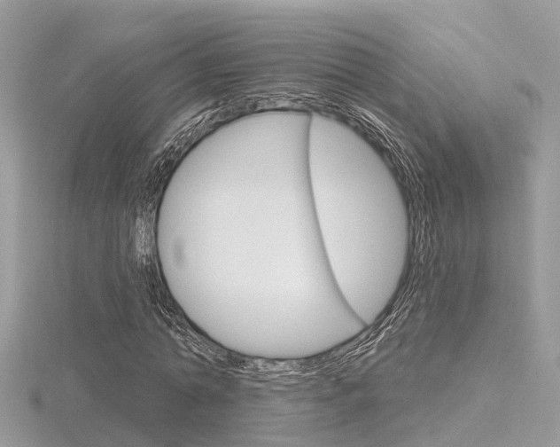 X0000116550774200912101002