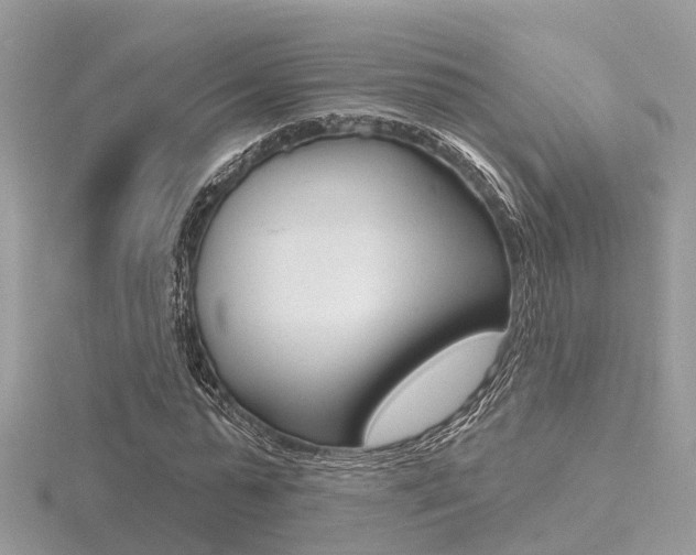X0000116550775200912101002