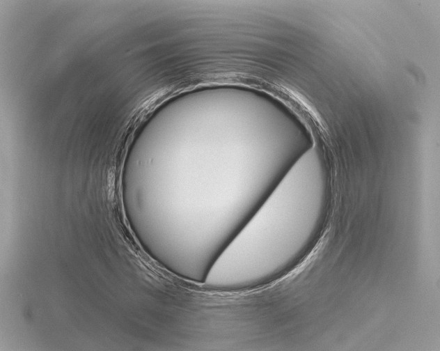 X0000116550777200912101002