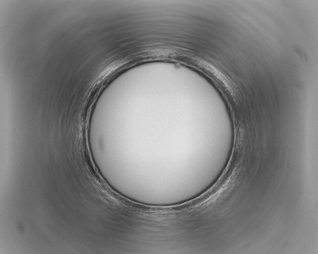 X0000116550778200912101002