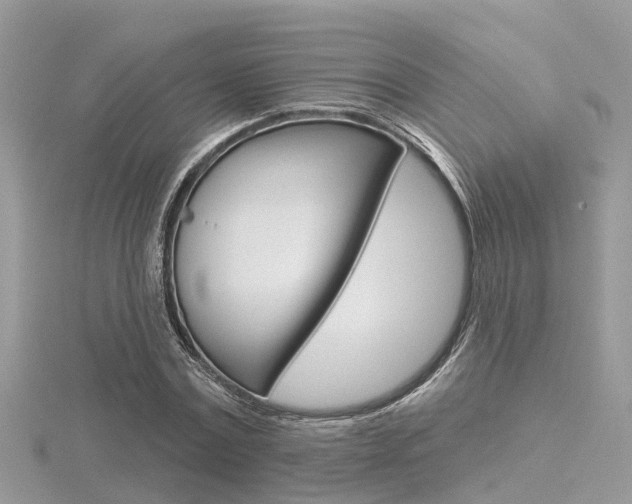 X0000116550779200912101002