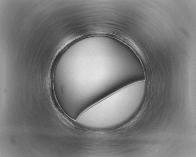 X0000116550787200912101002