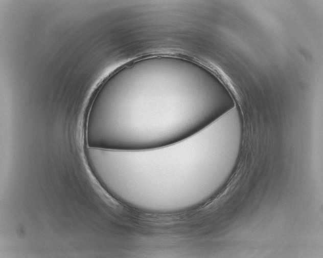 X0000116550795200912101002