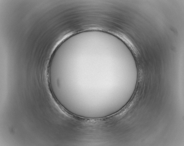 X0000116550806200912101002