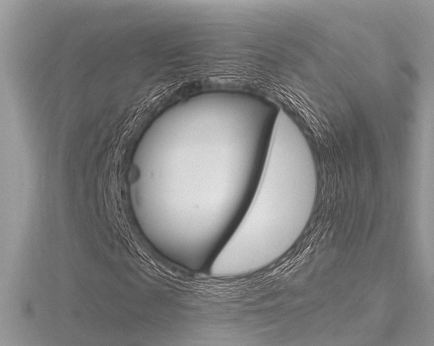 X0000116550817200912101001