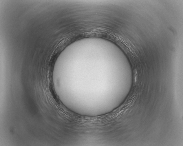 X0000116550819200912101001