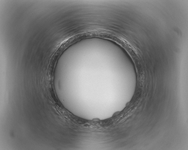 X0000116550822200912101001