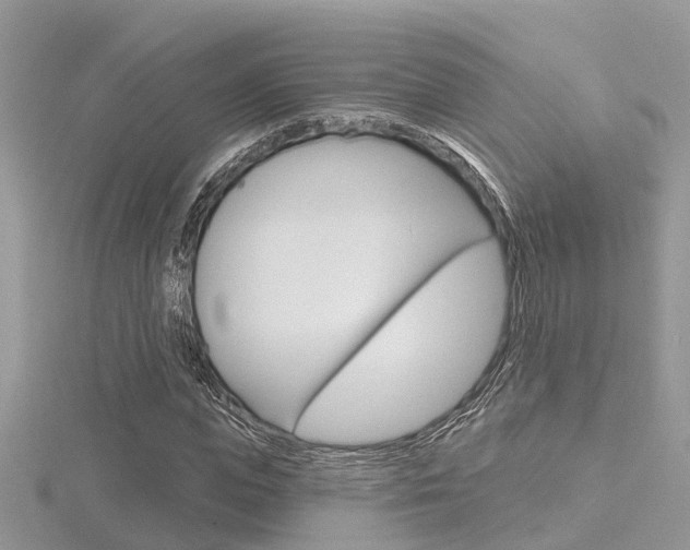 X0000116550823200912101001