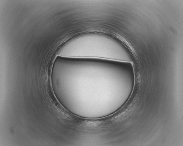 X0000116550825200912101001