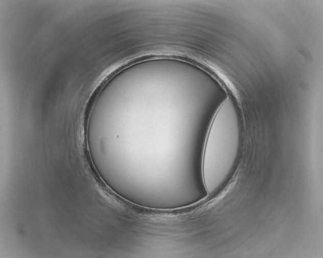 X0000116550837200912101001